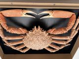 a crab that is sitting in a box on the floor