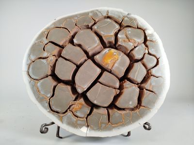 a white plate with a crack in the middle of it