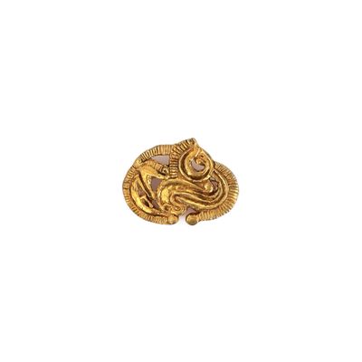a close up of a gold coin on a white background
