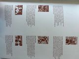 a person holding a book open to a page with pictures on it