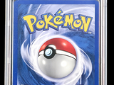 the card is in a plastic case with a pokemon poke poke poke poke poke poke poke poke poke poke poke