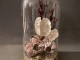 une cloche en verre contenant des fleurs