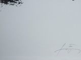 Photo 2/2 du lot