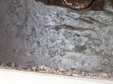 a rusted metal plate with a picture of a cat on it