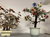 deux plantes en pot posées sur une table