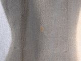 a close up of a woman ' s torso with no shirt on