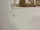 a drawing of a bear that is laying down on the ground