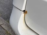 a close up of a car door with rust on it