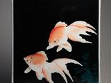 two goldfishs on a black background with a black background