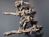 paire d'appliques murales anciennes en laiton avec fleurs et feuilles