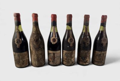 six bouteilles de vin alignées sur une surface blanche