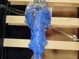 a blue fish wrapped in plastic sitting on top of a wooden slatt