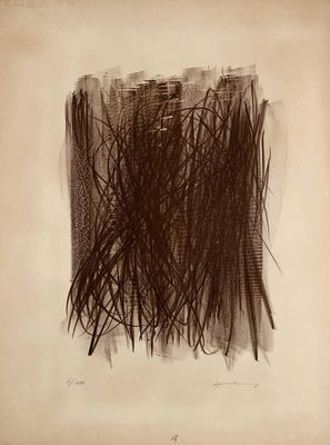 une image représentant un dessin d'un carré recouvert de nombreuses lignes