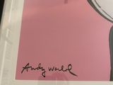 framed picture of a mickey mouse with a pink background and a black frame