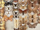 many different types of butterflies displayed in a display case