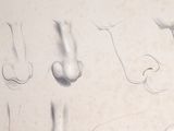 a drawing of a nose and nose on a sheet of paper