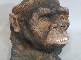 une statue représentant une tête de gorille sur un fond blanc