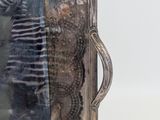 a picture of a zebra standing in front of a mirror