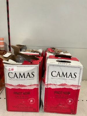 4 cubis de Rouge en 5L « Pays d’Oc, pinot noir » par Anne de… - Photo 1