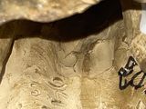 a gold statue of a woman with a hat on her head