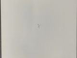 an image of a piece of paper with writing on it