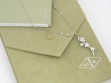 une enveloppe verte sur laquelle est représenté un collier en argent