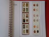 an open book with pictures of eggs on it