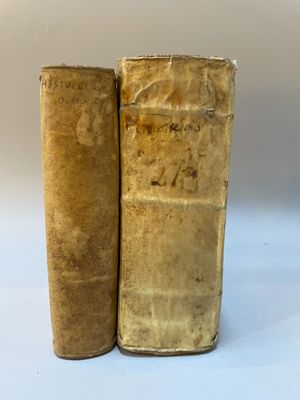 deux vieux livres posés l'un sur l'autre sur une surface blanche