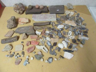 une table sur laquelle sont posées des roches et des pierres
