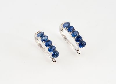 une paire de boucles d'oreilles en saphir bleu sur fond blanc