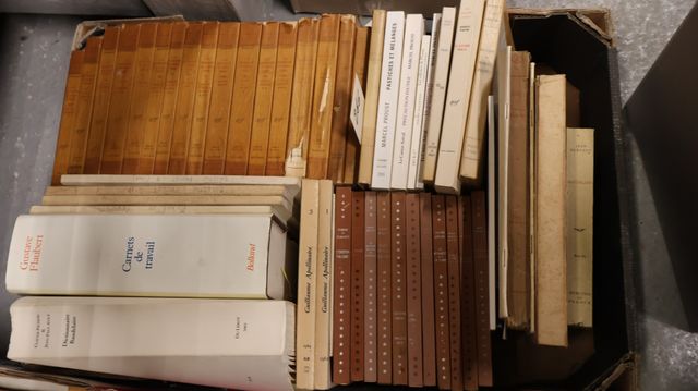 Lot de livres de littérature dont de nombreux livres sur PROUST ,...