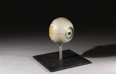 une photo d'une sculpture représentant un globe oculaire posé sur un socle