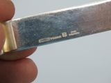 a person holding a silver knife in their hand
