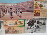 a picture of a picture of a bullfight in a stadium