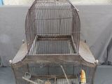 une cage à oiseaux posée sur une table, avec un oiseau à l'intérieur