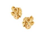 a pair of gold plated earrings on a white background