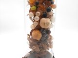 une cloche en verre contenant un bouquet de fruits