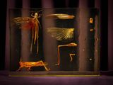 an image of a display of insect specimens in a glass case