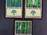 three cards with a picture of a tree on them on a table
