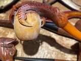 a snake that is sitting on top of a pipe