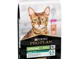the cat is sitting in front of a bag of propplan cat food