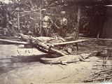 an old photo of a man standing next to a crocodile