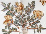 a picture of a napkin with flowers on it