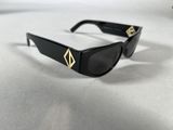 the sunglasses are black with gold accents on them