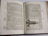 an open book with a drawing of a bird on it