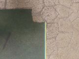 a bird that is standing on a mat in the dirt