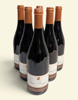 six bouteilles de vin sont alignées sur une surface blanche