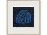 a framed picture of a blue pumpkin on a black background