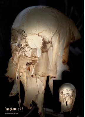 an image of a skull with a human skull in the background