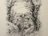 a black and white drawing of trees in a field